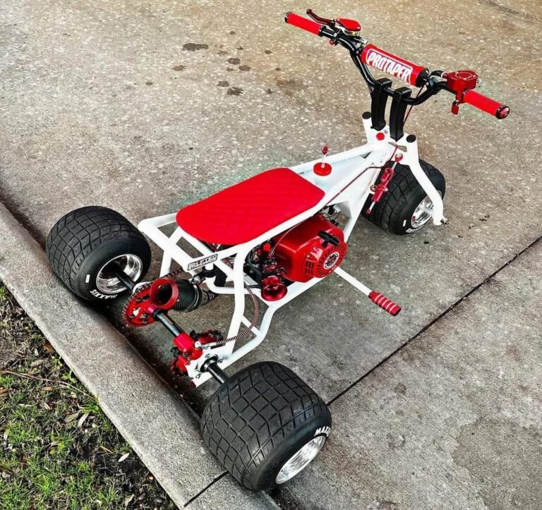 WhatsApp Image 2026-02-03 at 19.16.37