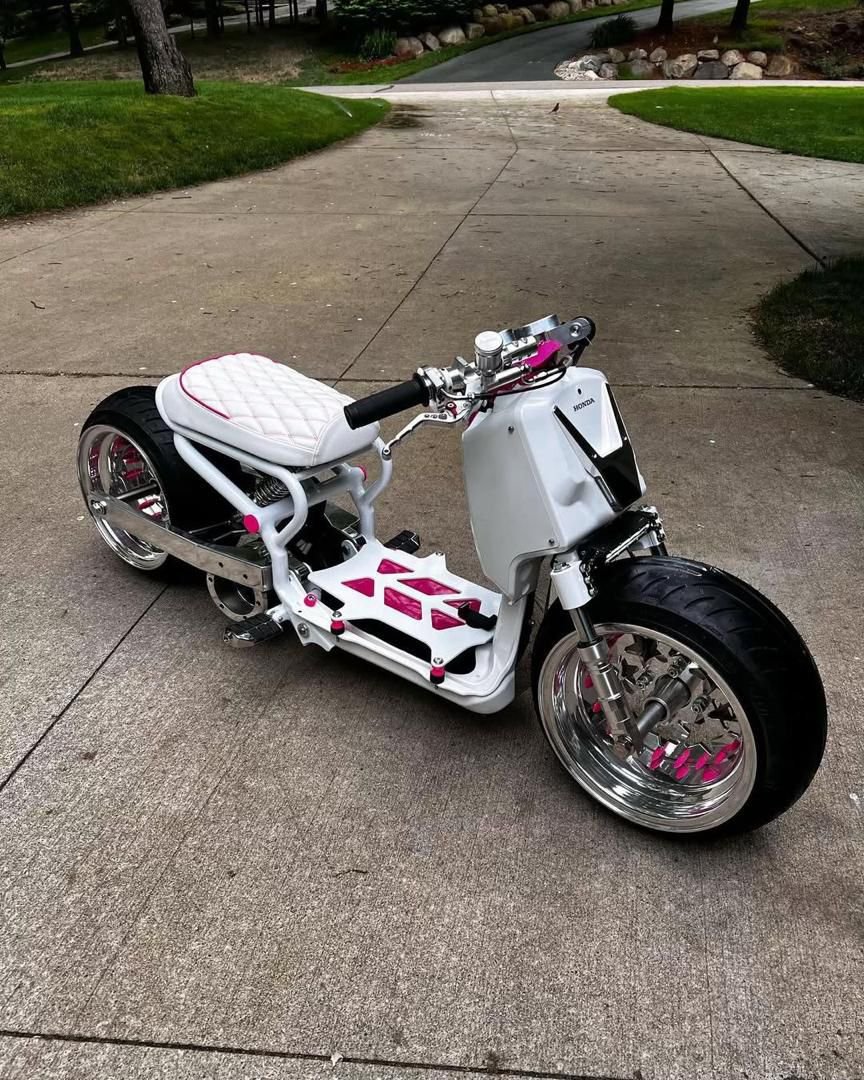 WhatsApp Image 2026-02-11 at 23.27.35