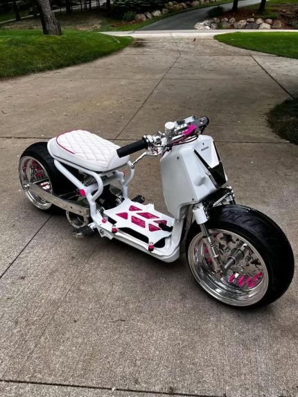 WhatsApp Image 2026-02-11 at 23.27.35